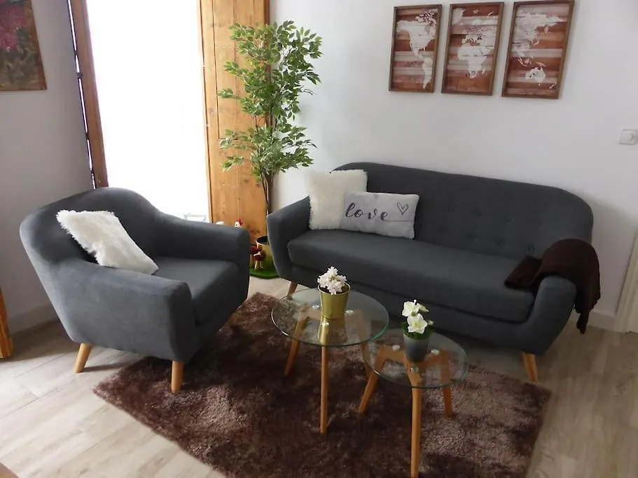 Apartamento 'Mini Jungle' En El Corazon De Cadiz